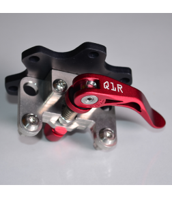 BUCHFINK Q1R BASE SIDE